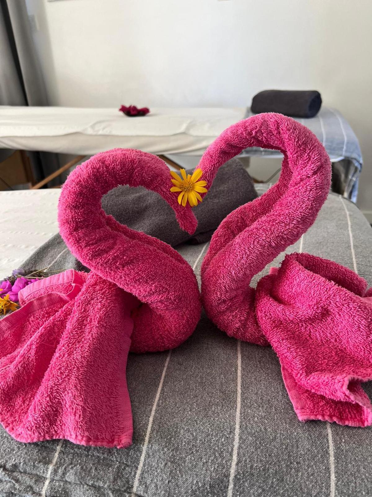 "L Eden Enchante" Chambres D'Hotes Et Spa Cote Basque Boucau Zewnętrze zdjęcie